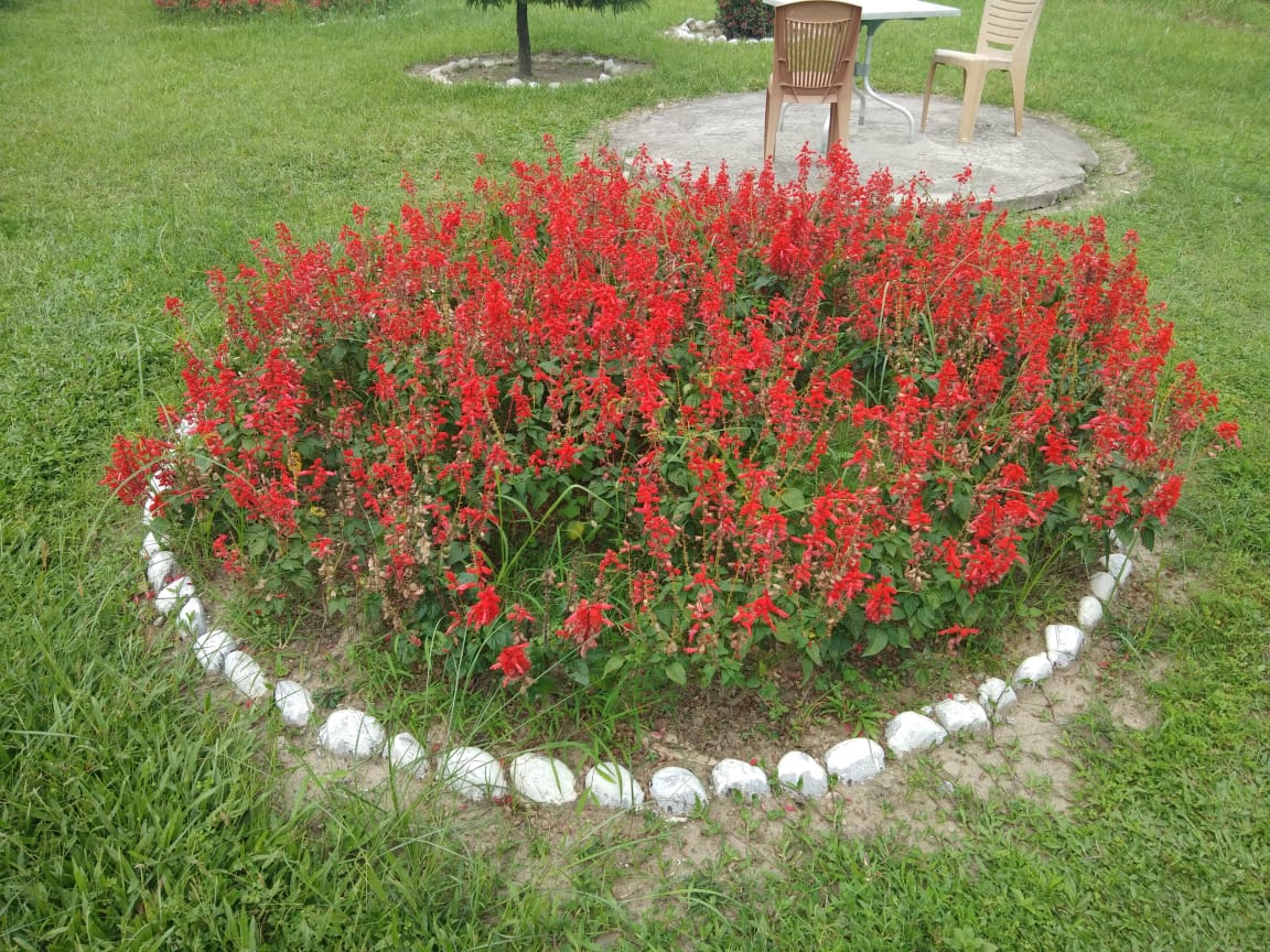 Gorumara Nature's Cottage Photo